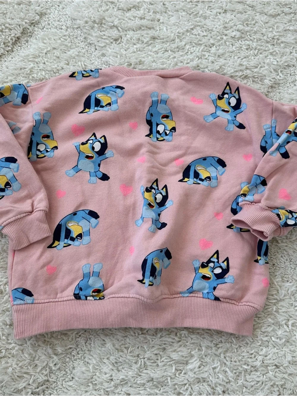 Zara Pink Bluey Set